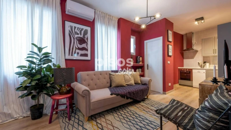 Piso en alquiler en Embajadores-Lavapiés