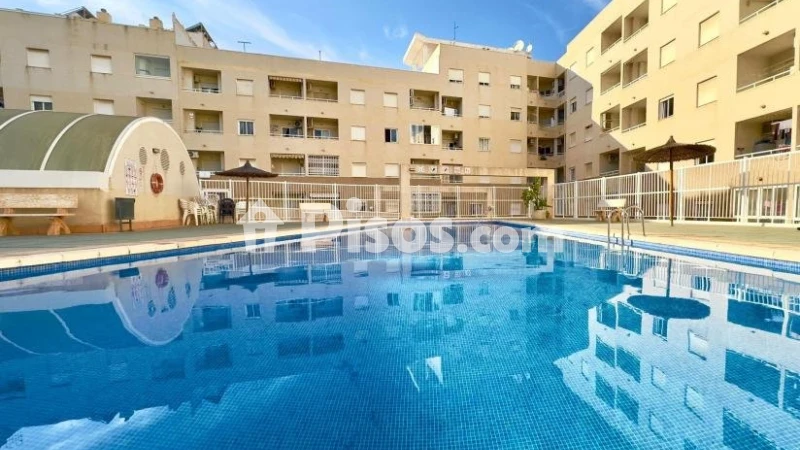 Pis – Torrevieja