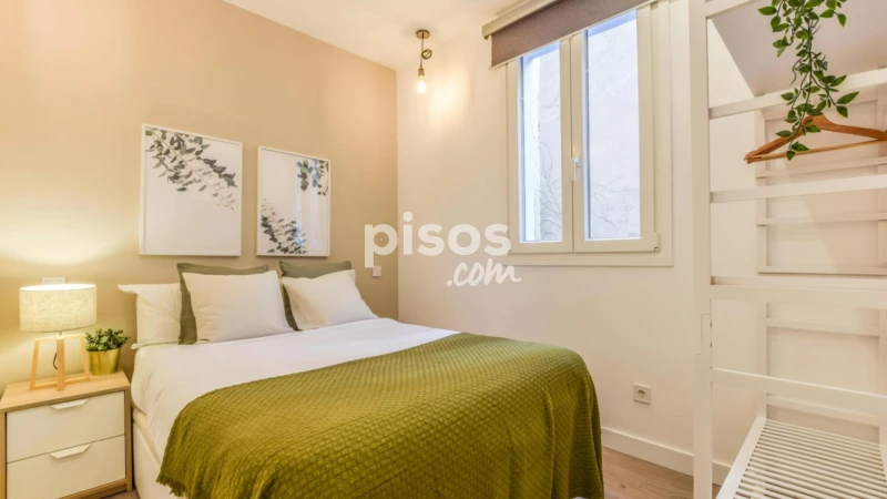 Piso en alquiler en Embajadores-Lavapiés