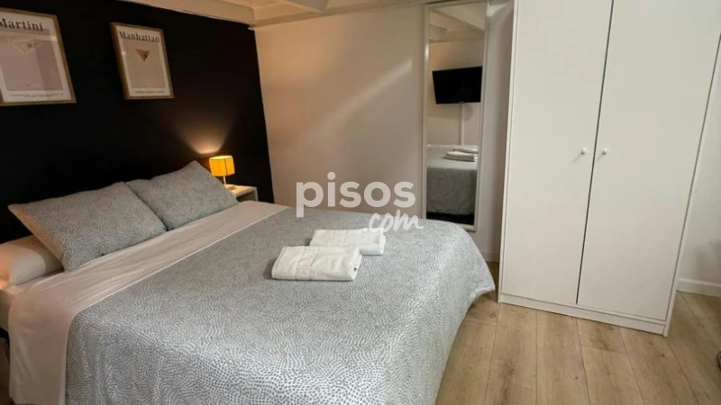 Piso en alquiler en Embajadores-Lavapiés