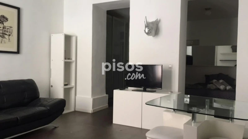 Piso en alquiler en Embajadores-Lavapiés