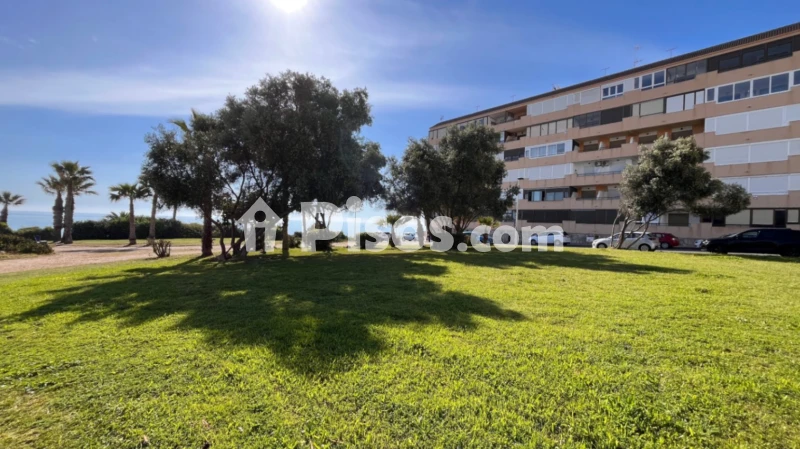 Piso – Torrevieja
