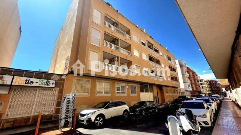 Pis – Torrevieja