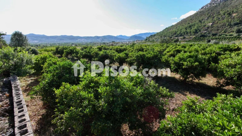 Terreno en venta en Sagra