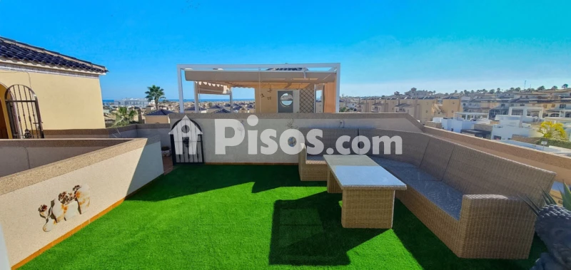 Pis – Orihuela