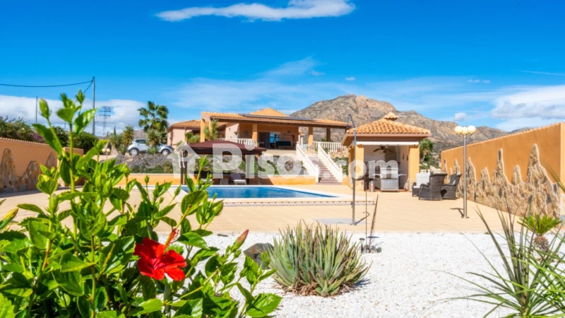 Chalet en venta en Albatera, Albatera