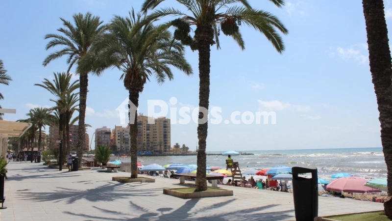 Piso – Torrevieja