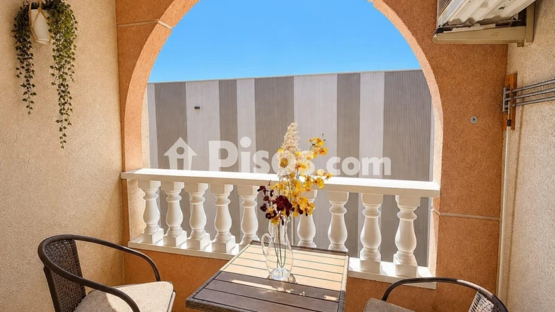 Pis – Torrevieja
