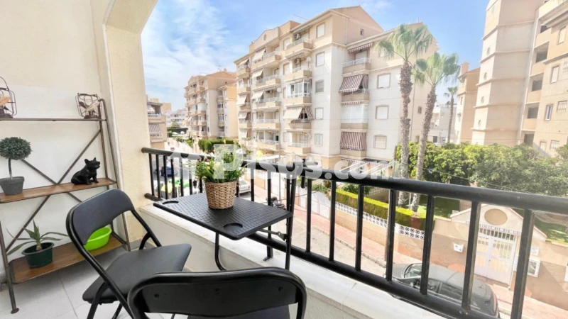Pis – Torrevieja