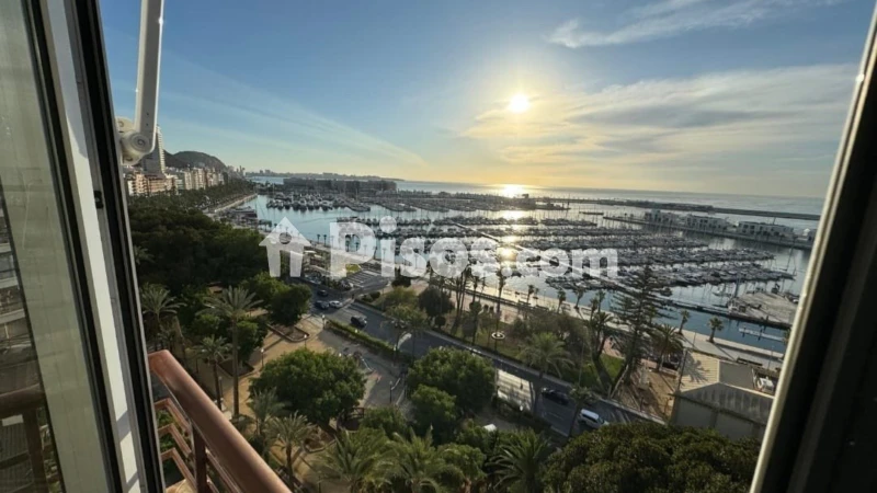 Pis – Alacant / Alicante, l'Eixample, l'Alacantí