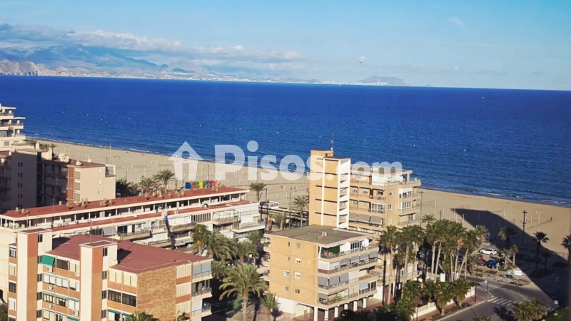 Pis – Alicante - Alacant