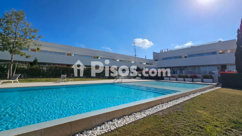 Pis – Torrevieja