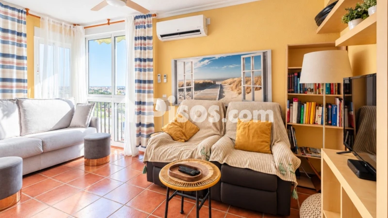 Piso – Orihuela, Mil Palmeras