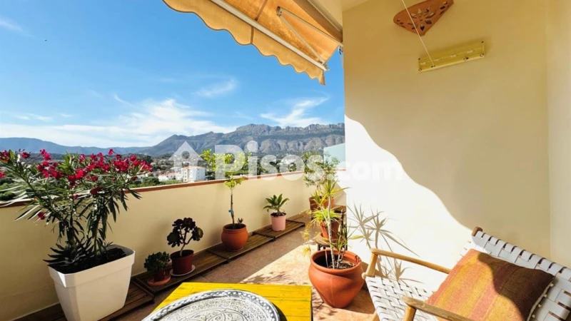 Pis – Altea, Sant Roc