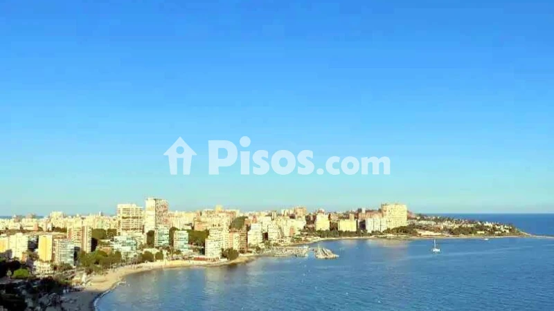 Pis – Alicante - Alacant