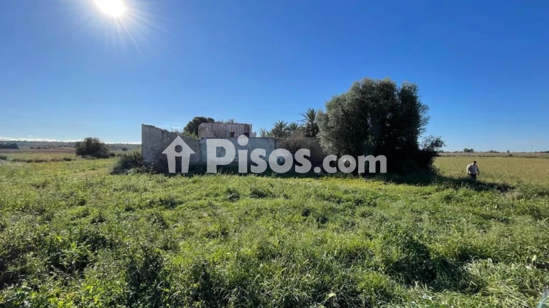Terreno en venta en Fantástica Oportunidad de Terreno en Valverde en Las Pedanías de Elche