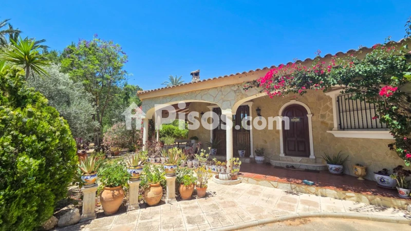 Casa – Elx - Elche
