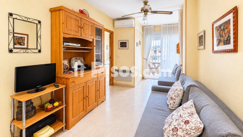 Piso – Torrevieja, Europa