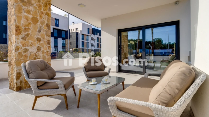 Pis – Torrevieja