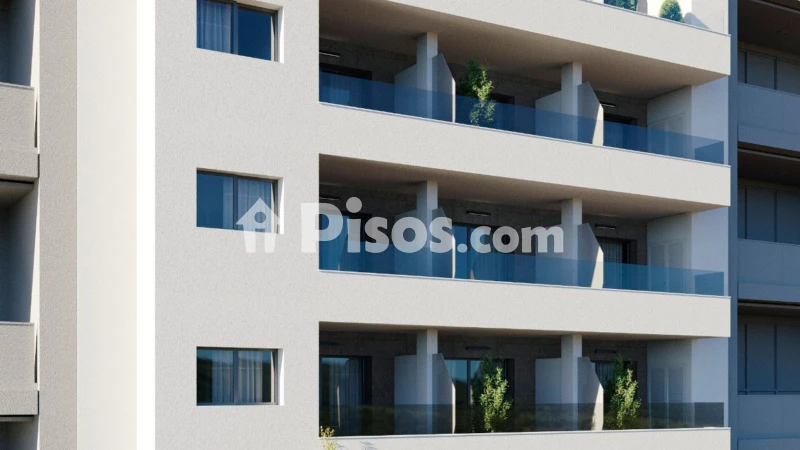 Pis – Torrevieja