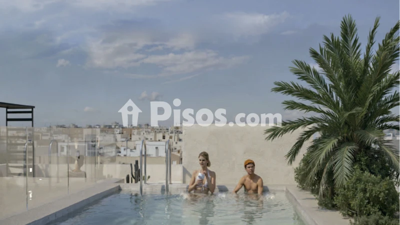 Pis – Torrevieja