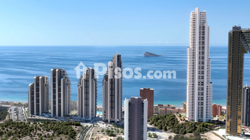 Pis – Benidorm