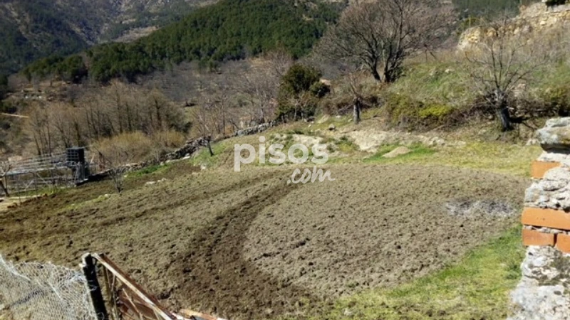 Land for sale in de los Espinos, Mijares of 73.000 €