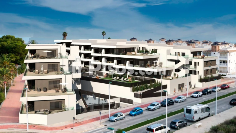 Pis – Elche, el Pinet, la Marina