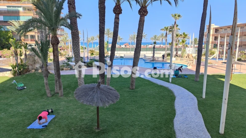 Fotografía del inmueble reportado: 1.100 €/mes — Alicante, Alicante
