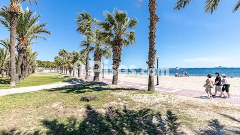 Fotografía del inmueble reportado: 750 €/mes — Murcia, Murcia
