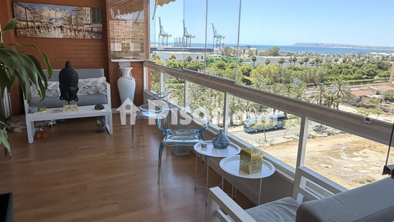 Pis – Alicante - Alacant