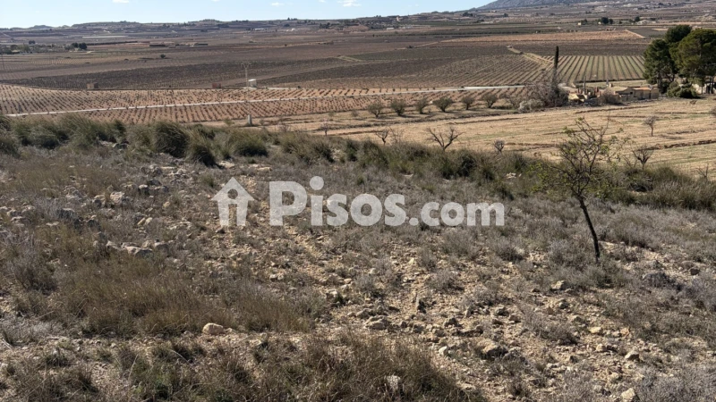 Terreno en venta en Carrer del Badén de Rico Lucas, 1