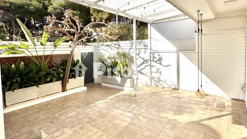 Pis – El Campello