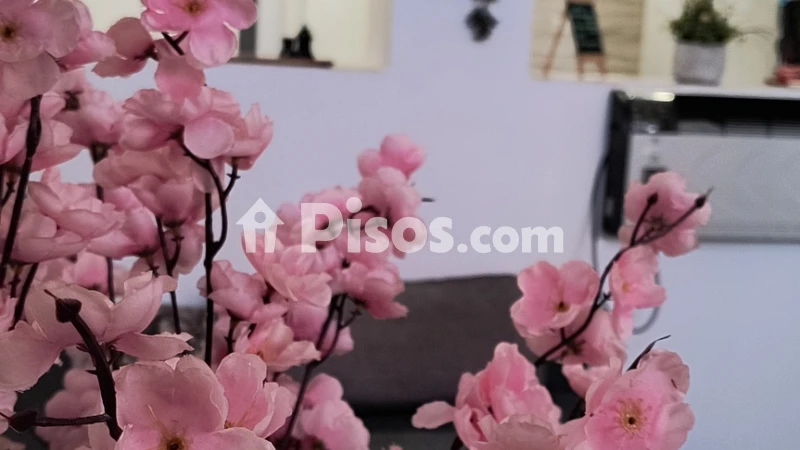Fotografía del inmueble reportado: 1.600 €/mes — Alicante, Alicante