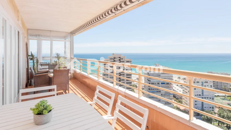 Pis – Alicante - Alacant
