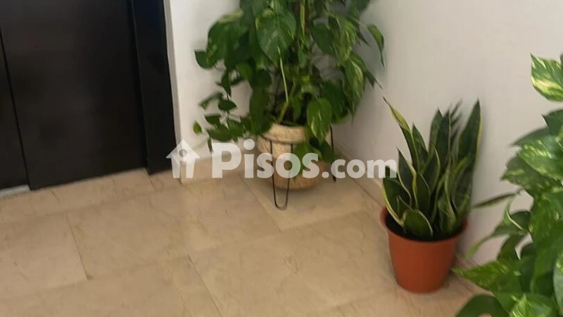 Piso – Alicante - Alacant