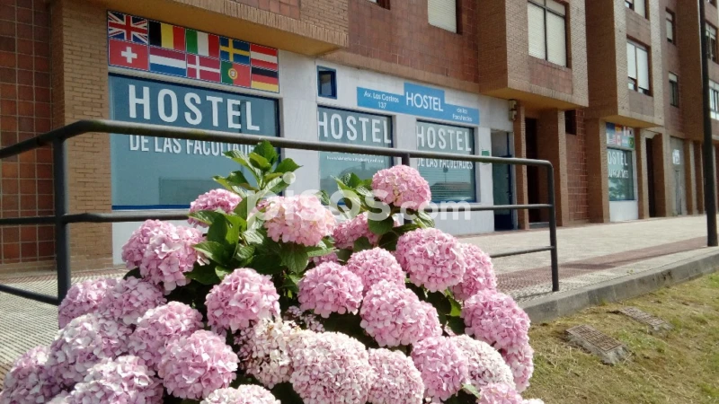 Habitación en alquiler en Avenida de los Castros, 137, cerca de Bajada de San Juan, Los Castros (Santander) de 875 €<span>/mes</span>