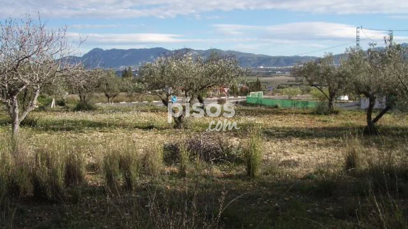 Land for sale in Ptd. El Rodat, L'Olleria of 15.000 €