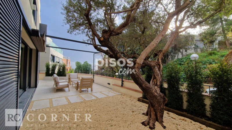 Casa en alquiler en Zona Alta