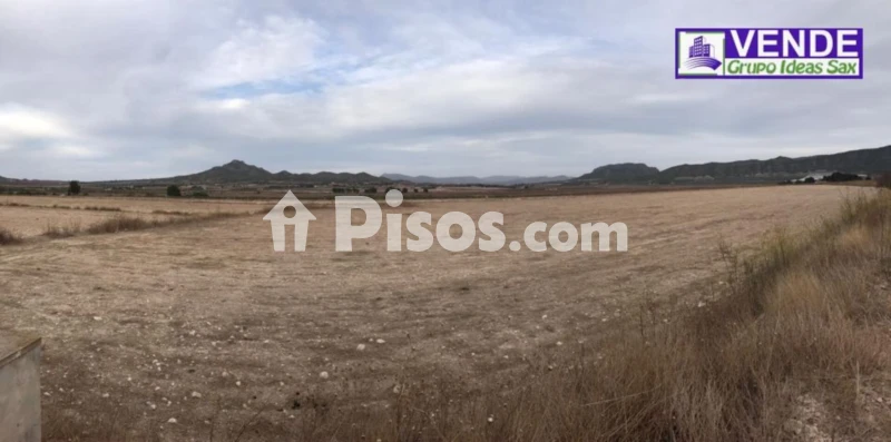 Casa – Salinas, Cecilia Bartolomé (Mujeres Libres), l'Alt Vinalopó / El Alto Vinalopó