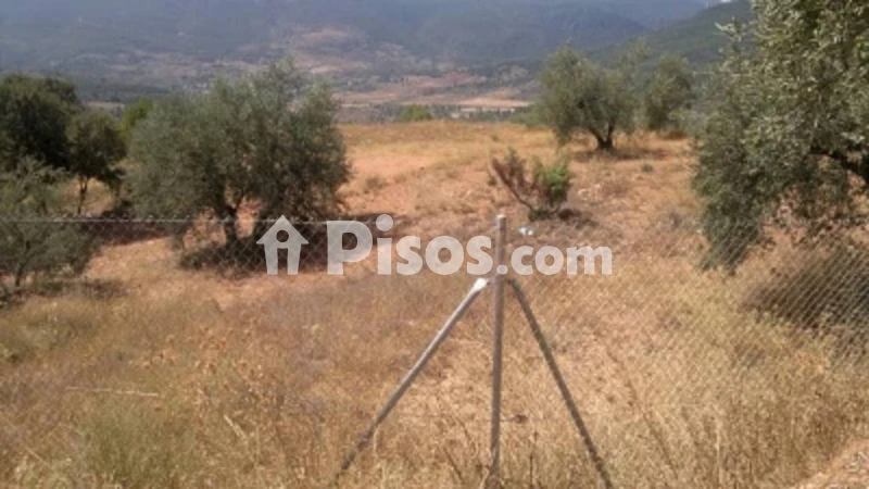 Terreno en venta en Bogarra