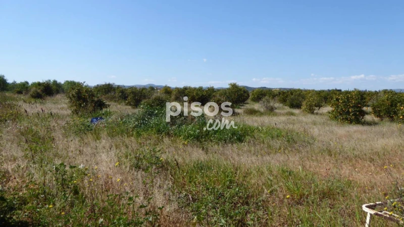 Terreno en venta en Partida Covatelles, Poble de Benicarló (Benicarló) de 43.000 €