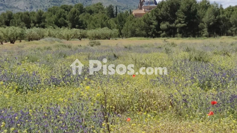 Terreno en venta en Pasaje Partido de los Santos. Polígono 18 , Parcela 132