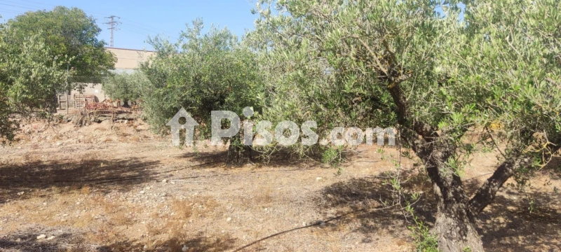 Terreno en venta en Avenida de La Libertad Ángel Blanco , Parcela 93