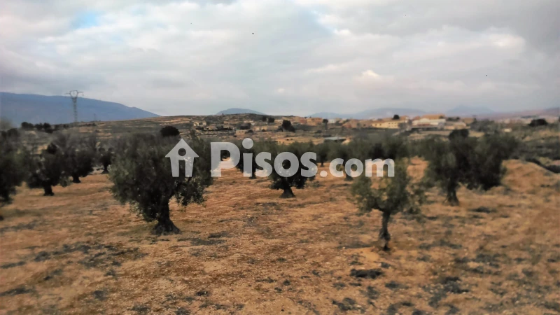 Terreno en venta en Calle Camino del Cementerio