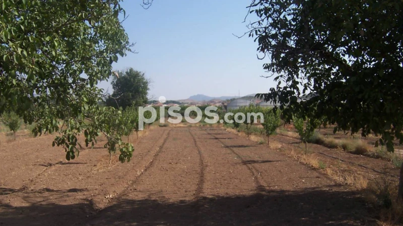 Finca rústica en venta en Pasaje Las Hoyuelas, Tobarra de 40.000 €