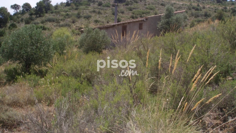 Finca rústica en venta en Calle Nava de Abajo, Nava de Abajo (Pozohondo) de 29.900 €