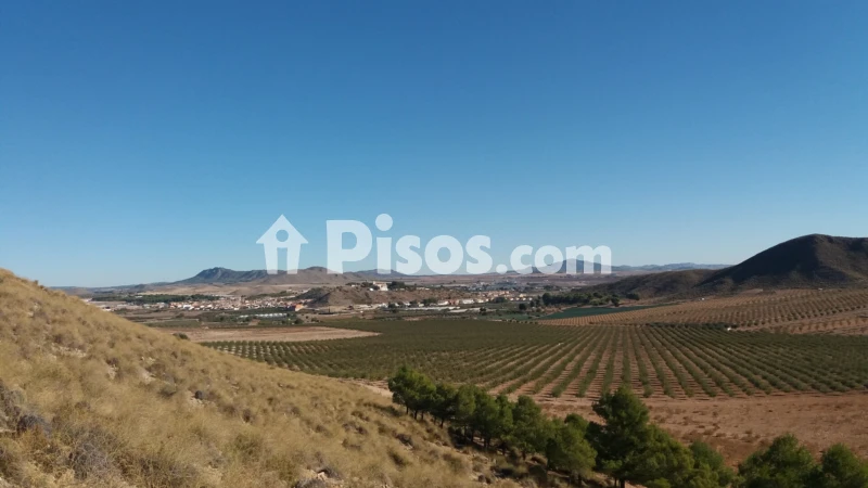 Casa – Tobarra, Albacete