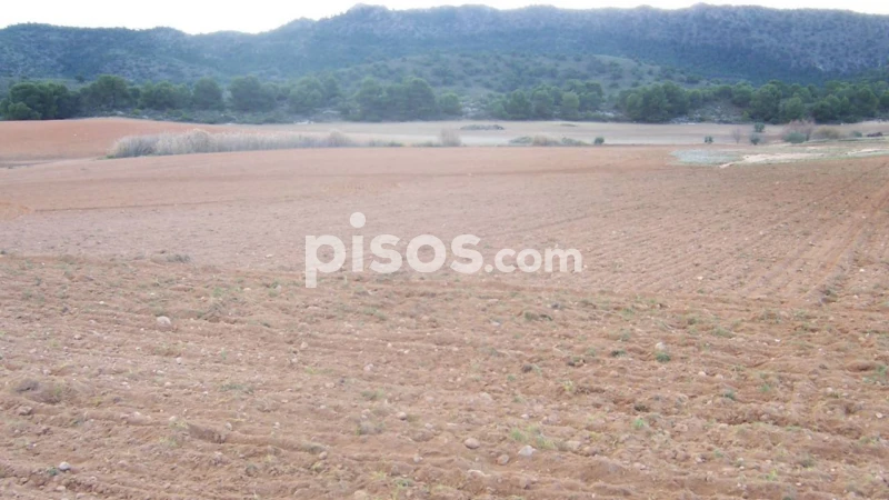 Finca rústica en venta en Carretera de la Tobarra, Tobarra de 1.356.000 €