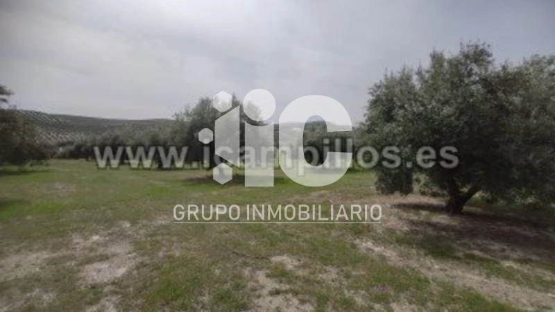 Casa - Vista 3